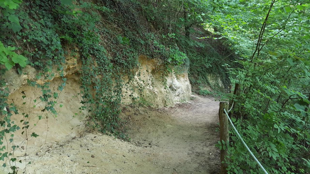 Gastsuite In Valkenburg Aan De Geul Exterior foto